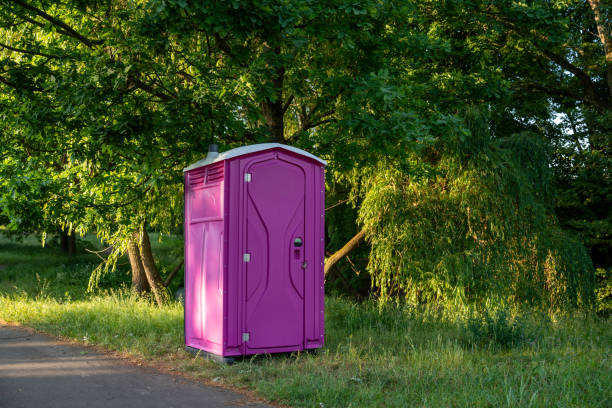 Best Affordable porta potty rental  in Lford, MI